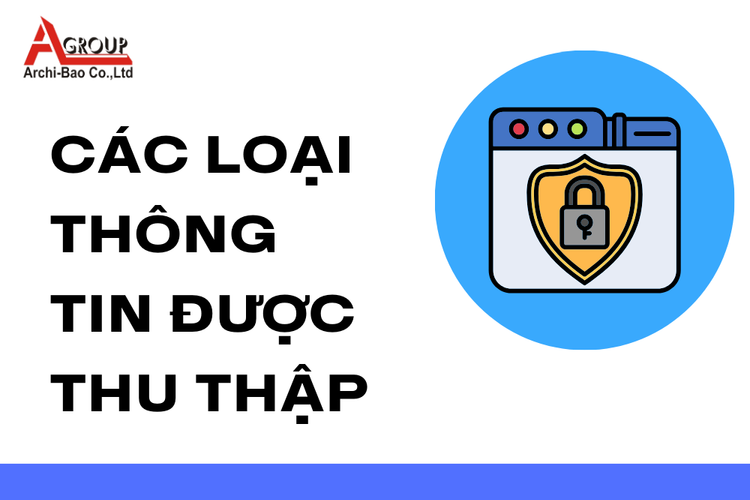Các loại thông tin được thu thập tại archi bảo